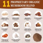 Mushroom Coffee Powder Manufacturer - OEM Custom Lion Mane Chaga