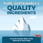 Krill Oil Softgels Manufacturer - OEM Custom Brain Joint Health