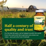 Men's Multivitamin Pills Factory - OEM Custom Brain Immune Support