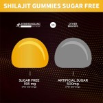Shilajit Gummies Factory - OEM Custom Sugar Free Energy