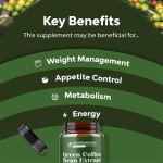 Green Coffee Bean Extract Manufacturer - OEM Custom Antioxidant Detox