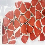 Pet Snacks Factory - Wholesale 100% Natural Japanese Sushi Pet Snacks Organic Meat Dog Treats