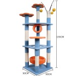 Cat Climbing Tree Manufacturer - Multi Level Scratching Posts