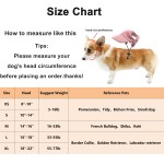 宠物遮阳帽供应商-灯芯绒耳洞可调