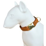 Pet Collars Manufacturer - Trendy Stylish Adjustable Durable