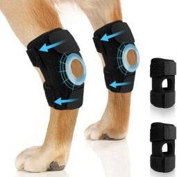 Dog Knee Brace Manufacturer - Adjustable Metal Spring Support