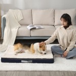 Memory Foam Dog Bed Manufacturer - All Season Removable Cover