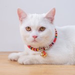 Bohemian Pet Collar Factory - Ethnic Style Bell Necklace