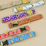 Pet Collars Manufacturer - Trendy Stylish Adjustable Durable