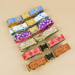 Pet Collars Manufacturer - Trendy Stylish Adjustable Durable