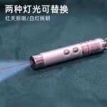 Laser Pointer for Cats Factory - 2 in 1 LED Keychain