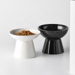 陶瓷抬高猫碗生产商-斜角脊柱保护