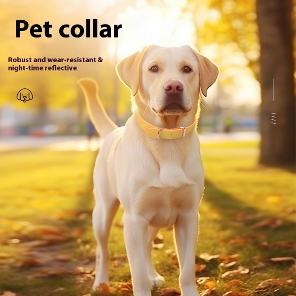 Glow Pet Collar Factory - No Charging Daylight Absorption