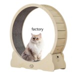 Cat Wheel Treadmill Supplier - Wholesale Exercise Running