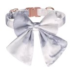 带领结宠物项圈供应商-高品质时尚