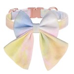 带领结宠物项圈供应商-高品质时尚