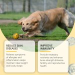 狗用鱼油供应商-Omega 3 DHA EPA皮肤