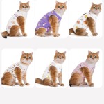 Cat Recovery Suit Factory - Wholesale Medical Adjustable