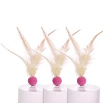 Feather Cat Toy Factory - Interactive Bouncy Chew Resistant