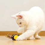Cat Funny Stick Factory - USB Chargeable Automatic Bee