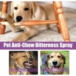 Pet Calming Spray Supplier - Premium Noise Reduction Stress