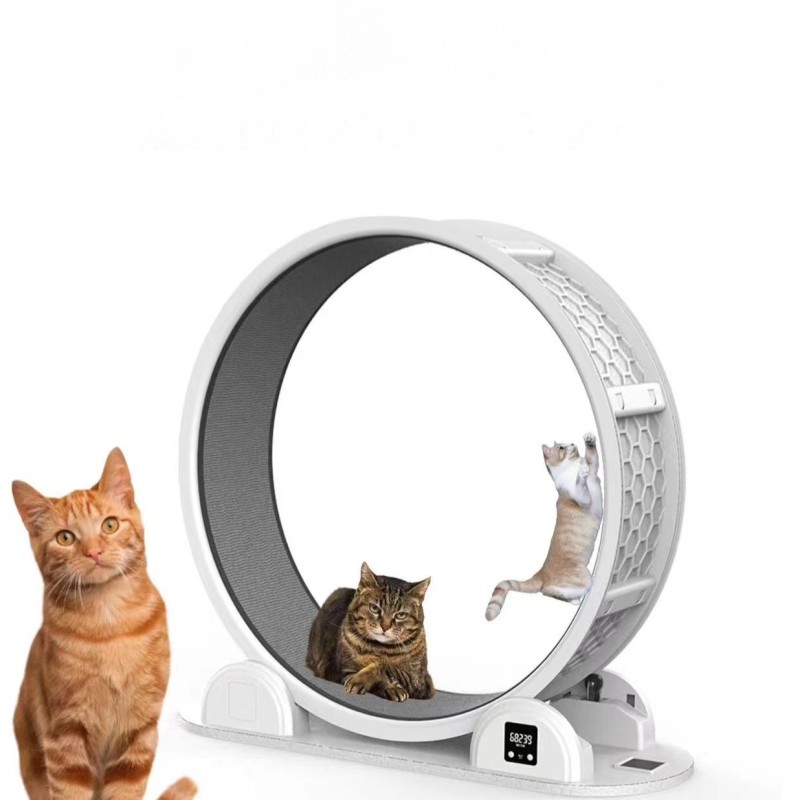 Pet Fitness Treadmill Manufacturer - Solar Powered Digital