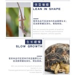 爬虫益生菌供应商-批发食欲消化