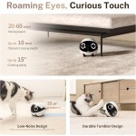Mini Smart Pet Companion Manufacturer - HD Surveillance Low Noise