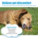 Pet Respiratory Drops Factory - Natural Throat Immune Booster