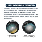 Pet Eye Drops Factory - Gentle Antibacterial Tear Stain