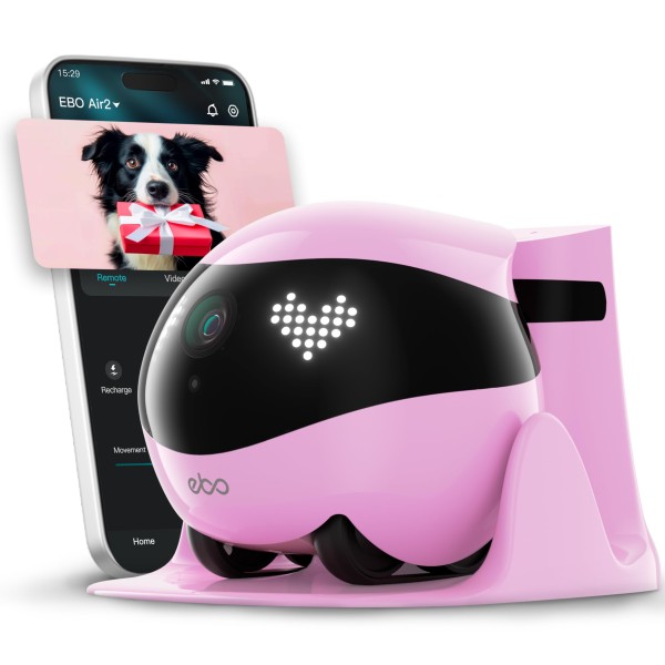 Smart Pet Robot Factory - Hot Selling Auto Recharge