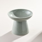 陶瓷抬高猫碗生产商-斜角脊柱保护