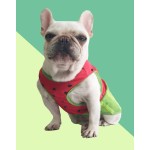 Dog Cooling Coat Manufacturer - Travel Friendly Watermelon Print
