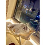 木质猫吊床生产商-可折叠剑麻座