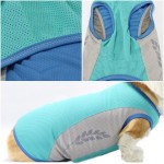 Summer Dog Vest Manufacturer - Lightweight Reflective Cooling