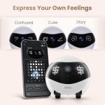 Smart Pet Robot Factory - Hot Selling Auto Recharge