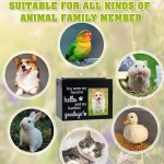 Pet Memorial Urn Supplier - Wholesale Solid Wood Photo