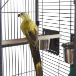 Bird Cage Manufacturer - Wholesale Rooftop Playground Wheels