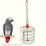 Bird Feeder Toy Supplier - Hanging Foraging Intelligence