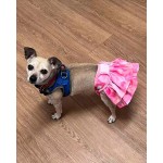 Dog Diapers Supplier - Washable Leakproof Adjustable