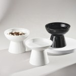 陶瓷抬高猫碗生产商-斜角脊柱保护