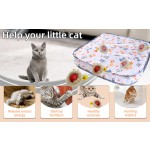 Smart Cat Toy Ball Supplier - Rechargeable LED Interactive