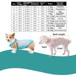 Summer Dog Vest Manufacturer - Lightweight Reflective Cooling