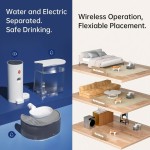 Smart Pet Fountain Supplier - No Filter Separate Tanks