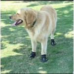 Dog Boots Manufacturer - Best Selling Waterproof Breathable