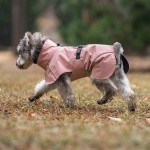 Dog Raincoat Supplier - Wholesale Waterproof Reflective