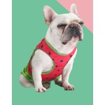 Dog Cooling Coat Manufacturer - Travel Friendly Watermelon Print