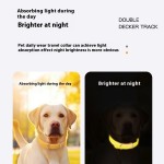 Glow Pet Collar Factory - No Charging Daylight Absorption