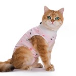 Cat Recovery Suit Factory - Wholesale Medical Adjustable