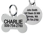 Pet Name Tag Manufacturer - Personalized Stylish Engraved
